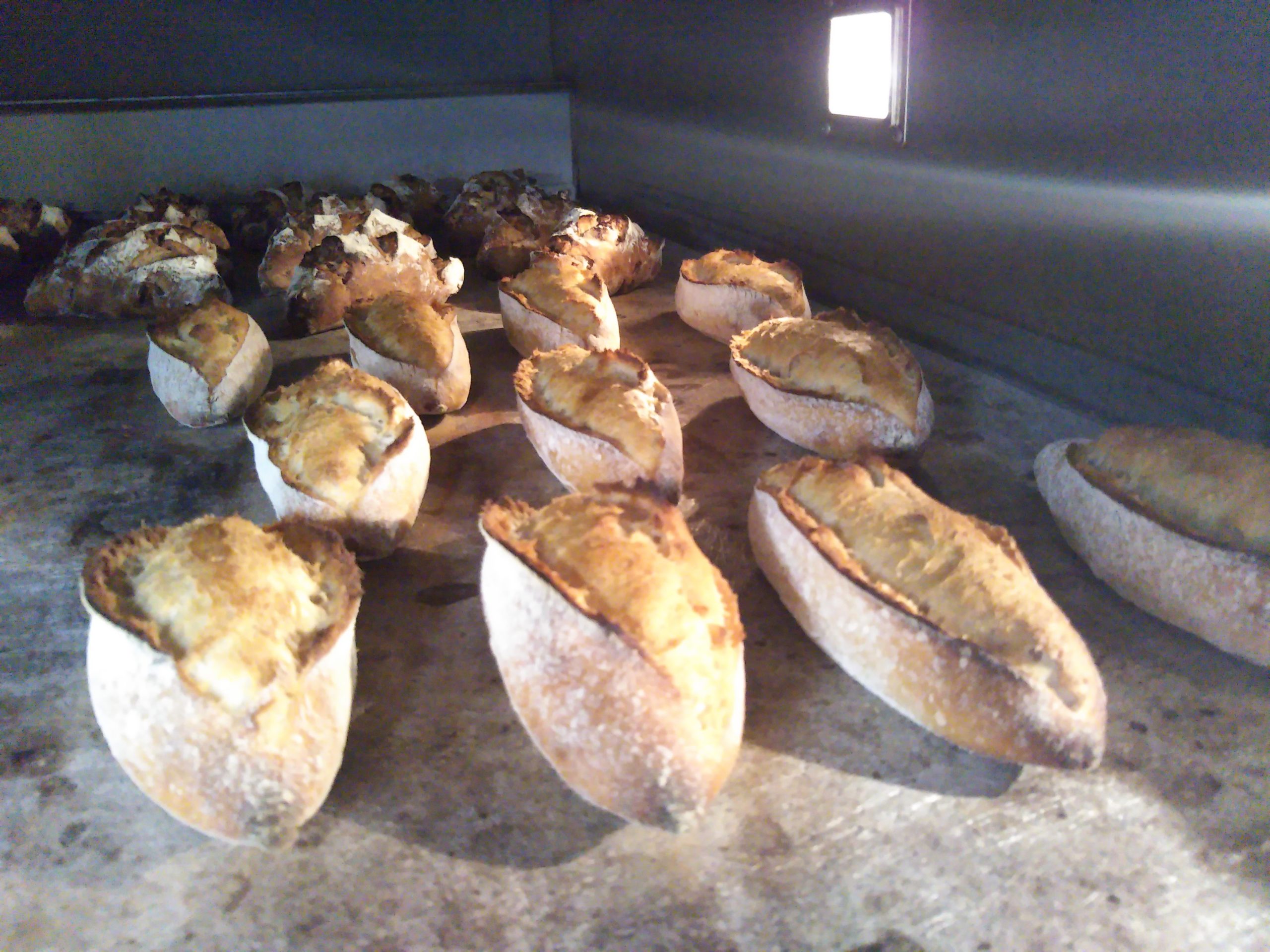 焼き上がりのパン